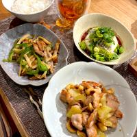 青椒肉絲　鶏肉のカシューナッツいため　しらすのっけ冷奴