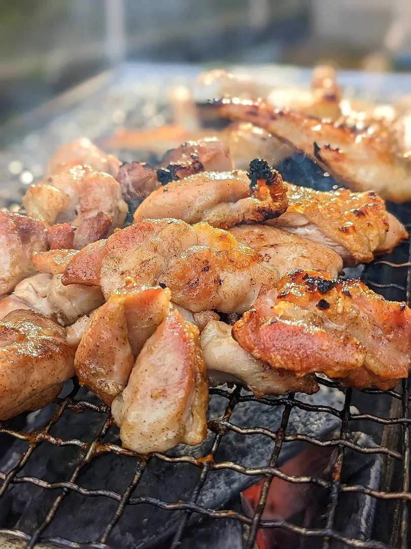 Snapdishの料理写真:お庭で炭火焼き鳥🍺|ひだまりさん