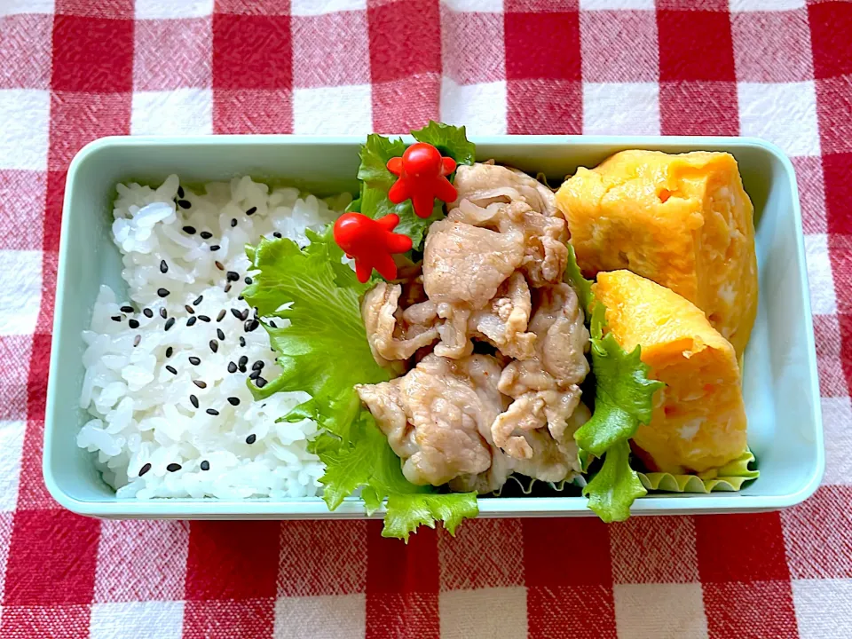 好き嫌い多めな少食男子高校生のお弁当🍱|しげっちさん