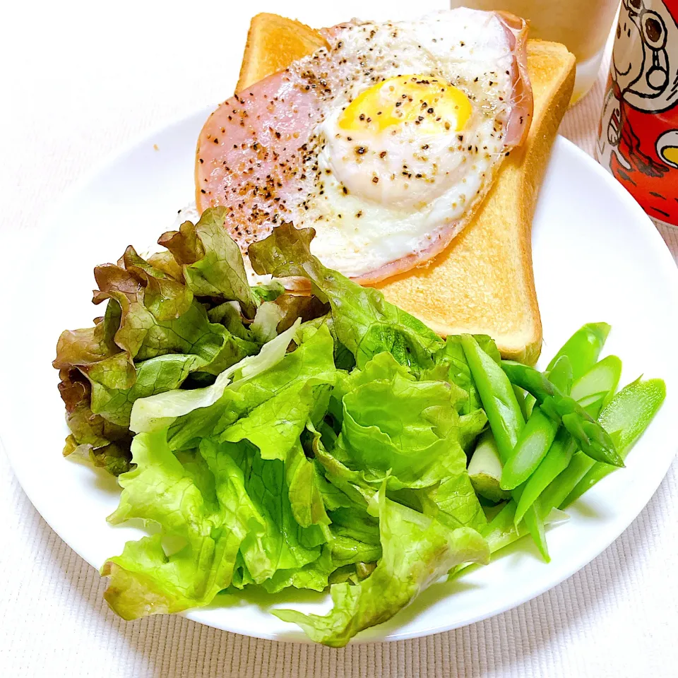 目玉焼き🍳|akkoさん