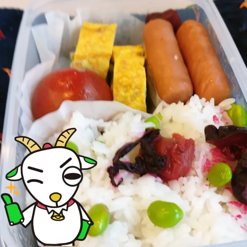 久しぶりの手作弁当|Rピージャーさん