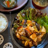 豚肉と茄子と辛みそダレキャベツ炒め