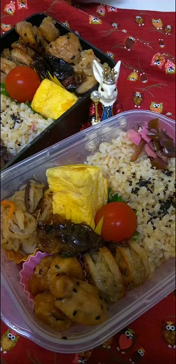 '23．5/3
本日のお弁当🍱|たえさん