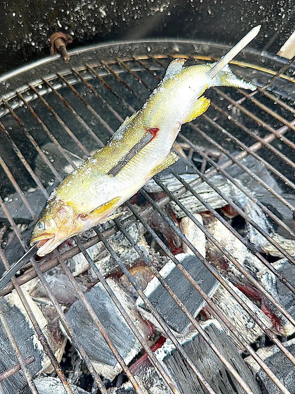 鮎の塩焼き|玉川 敦さん