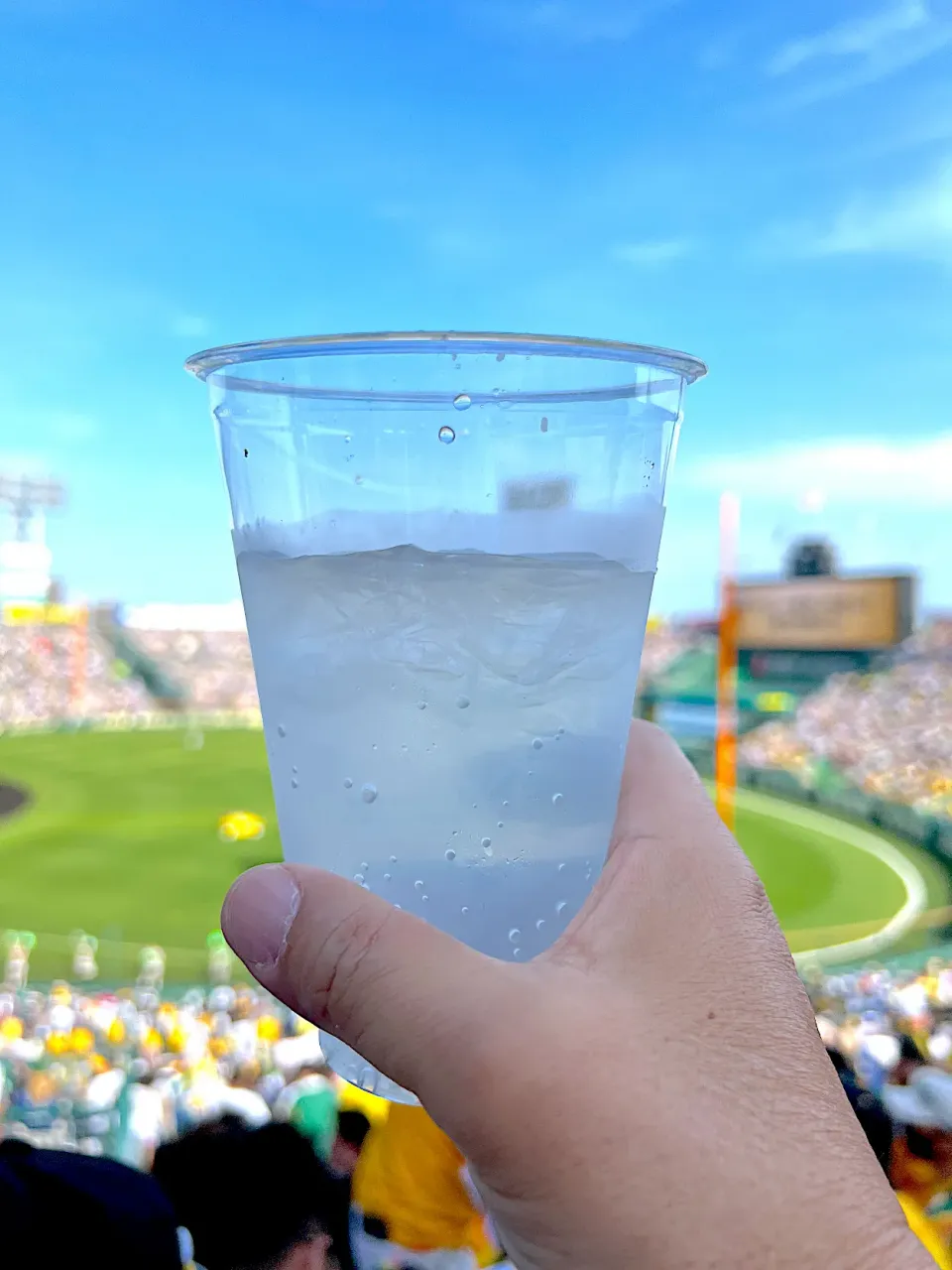 Snapdishの料理写真:⚾️レモンサワー|流線形さん