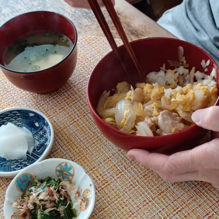 夫自宅サラメシ親子丼（なか卯の冷凍）|ぱいんてーるさん