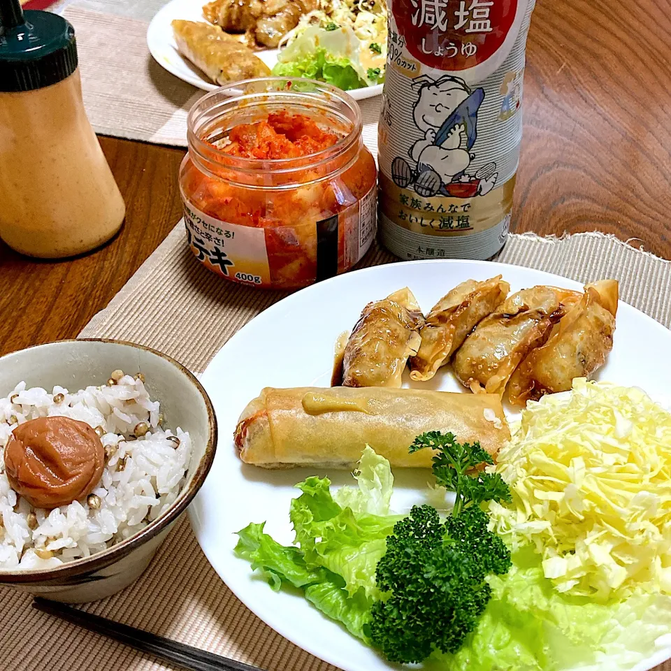 Snapdishの料理写真:揚げ餃子と春巻き|akkoさん