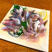 鯵のお刺身　いしもちの炙り刺し