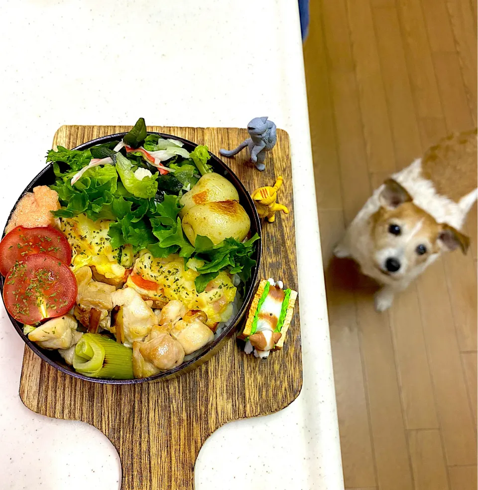 焼き鳥弁当|cafe3733さん