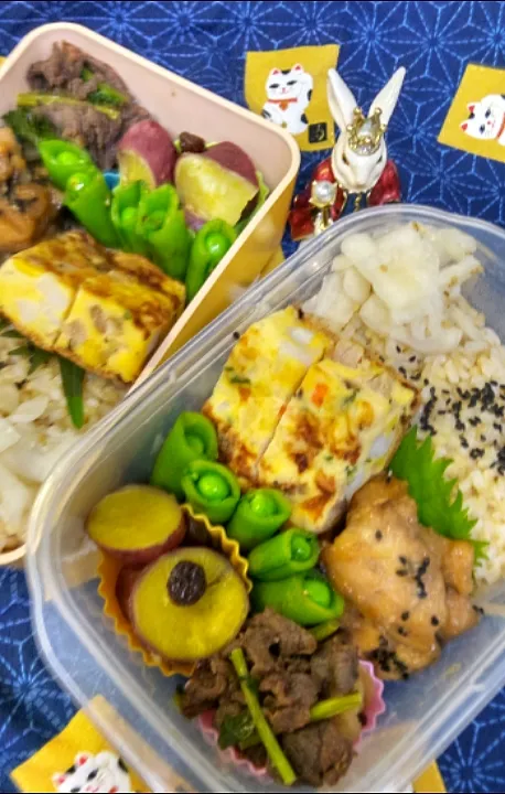 Snapdishの料理写真:'23．5/8
本日のお弁当🍱|たえさん