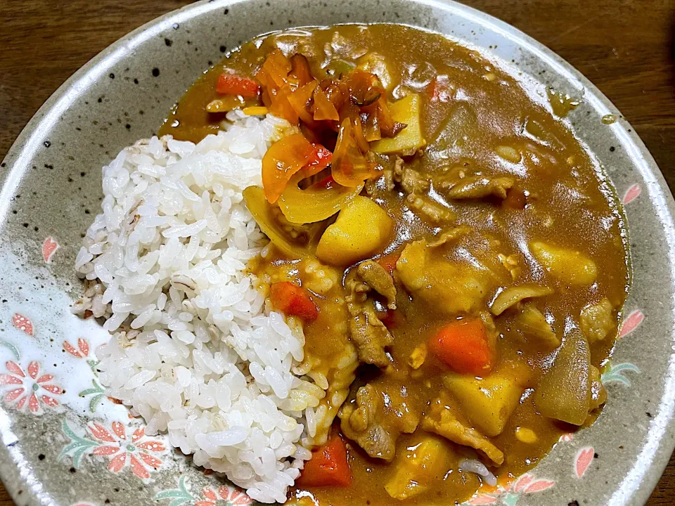 ナンプラー麹入りカレーライス|ひだまり農園さん