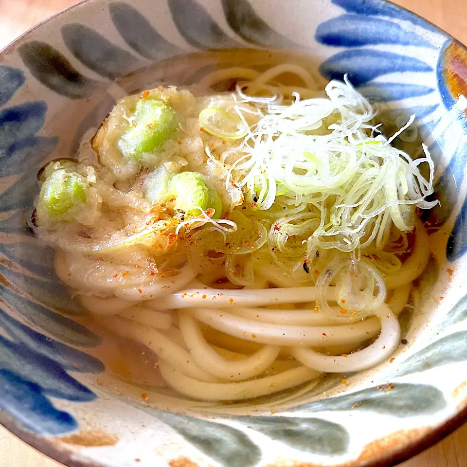 新玉ねぎと空豆のかき揚げ天ぷらうどん|jarinkoさん