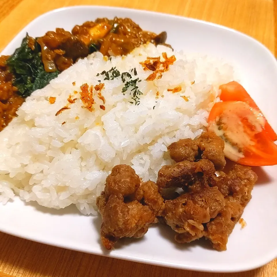 〚アルモンデ〛ウェットめなオートミール入りドライカレーと大豆のお肉唐揚げ🐔|チョコさん