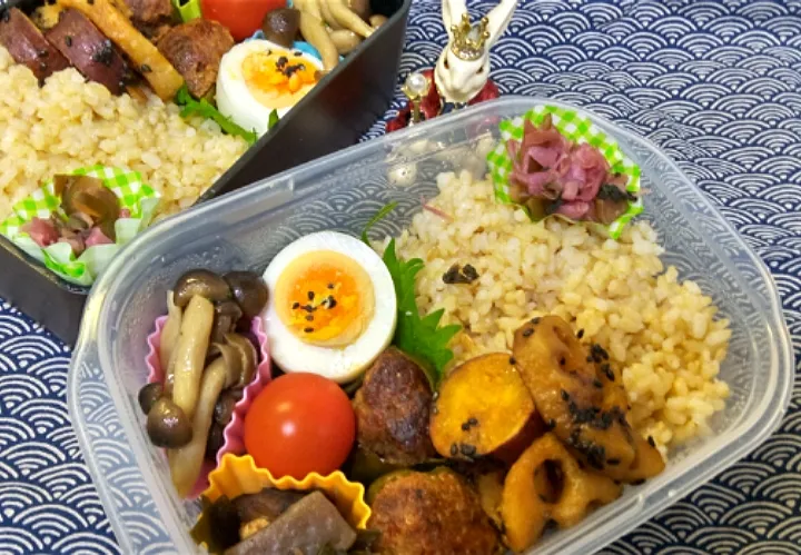 Snapdishの料理写真:'23．5/9
本日のお弁当🍱|たえさん