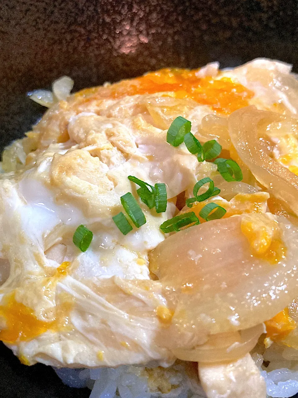 親子丼|海山つぶさん