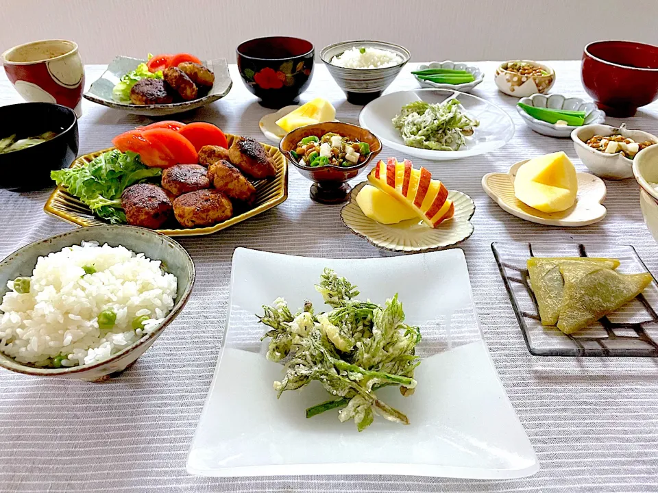 タラの芽の天ぷらと豆ご飯とおから入りつくねの晩ごはん|ゆかりさん