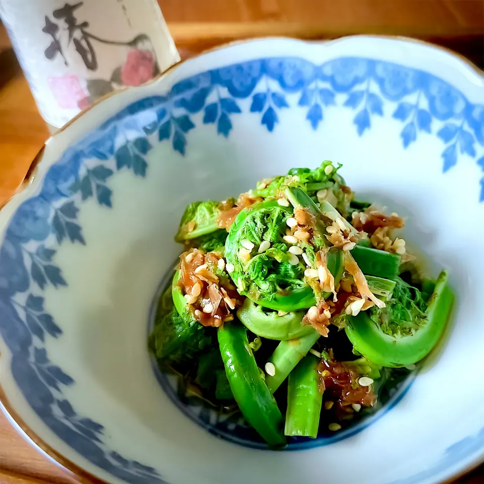 とんちんさんの料理 こごみのおかか和え|にゃんぺこさん