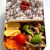 Snapdishの料理写真:今日のお弁当🎵|NARUさん