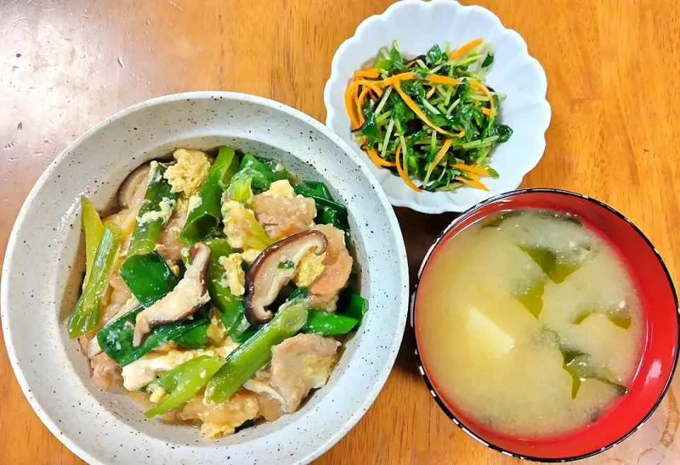 2023 0504　ふわとろ豚たま丼　豆苗と塩こんぶのサラダ　じゃがいもとわかめのお味噌汁|いもこ。さん