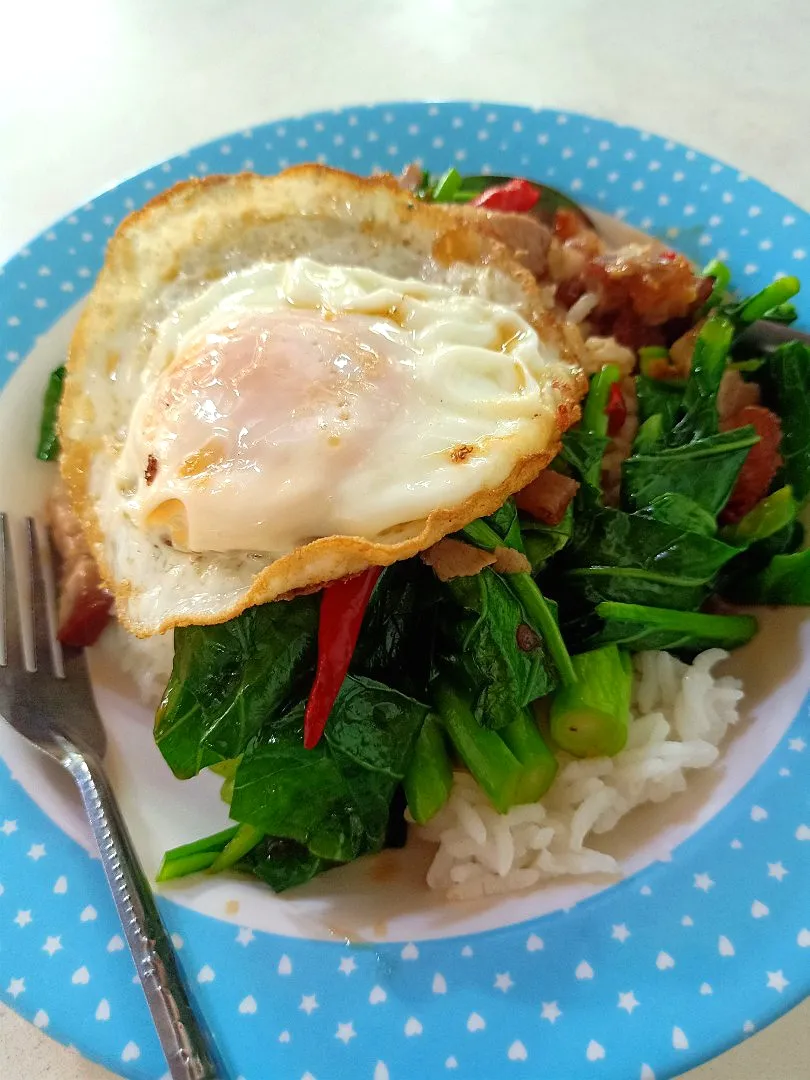 Stir-fried Kale w/ Crispy Pork Belly Over Rice Topped w/ Fried Egg aka 'Pad Kana Moo Krob' (ผัดคะน้าหมูกรอบ + ไข่ดาว) 😋🐷🍳|An'leeさん