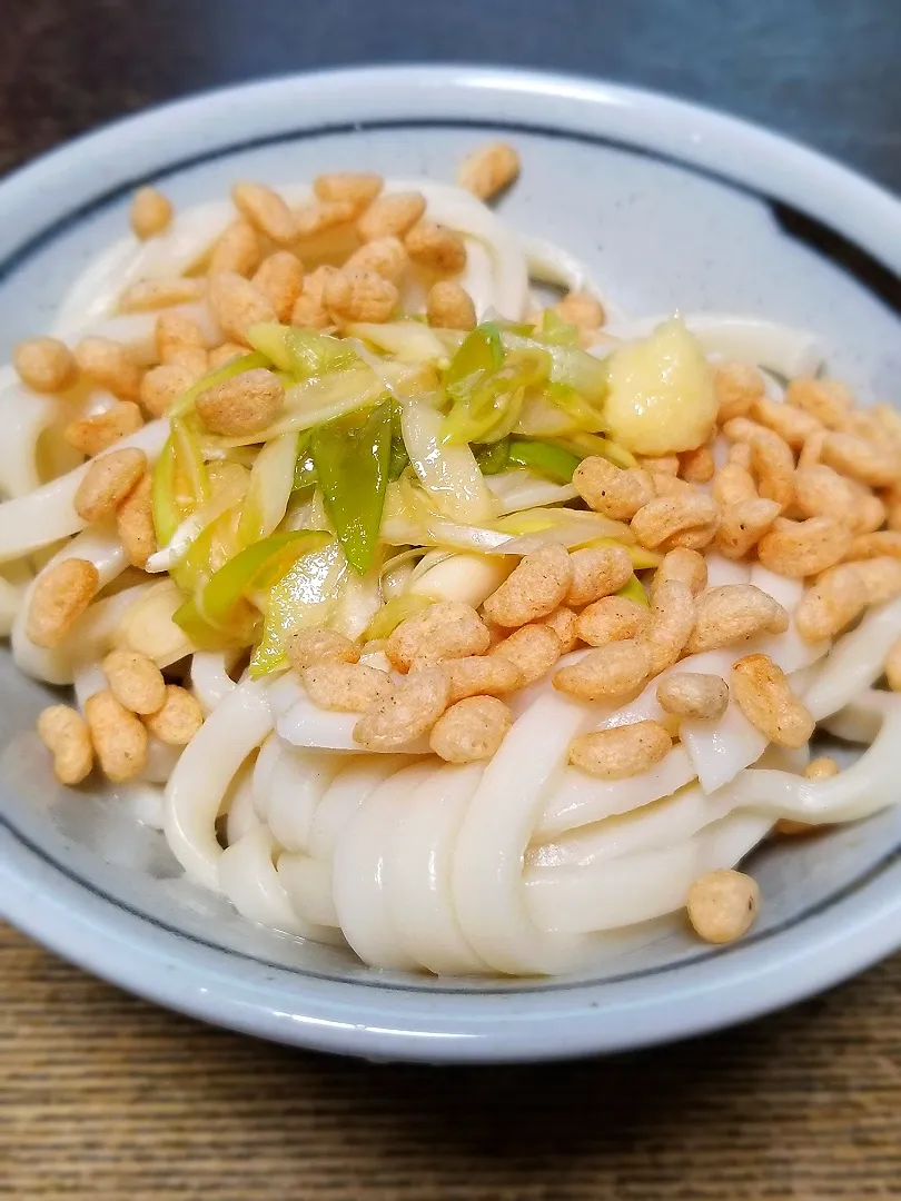 たぬきうどん|ぱんだのままんさん