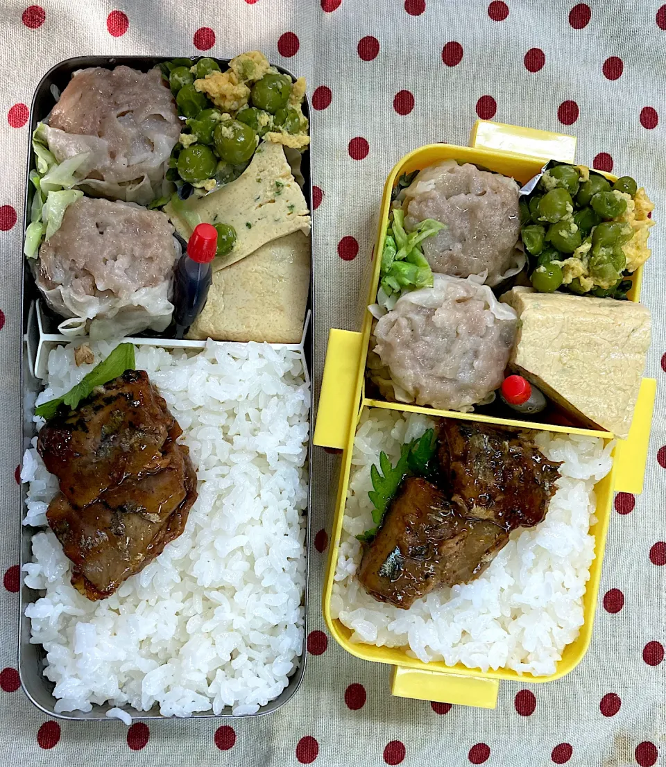 Snapdishの料理写真:5月12日 週末弁当🍱|sakuramochiさん