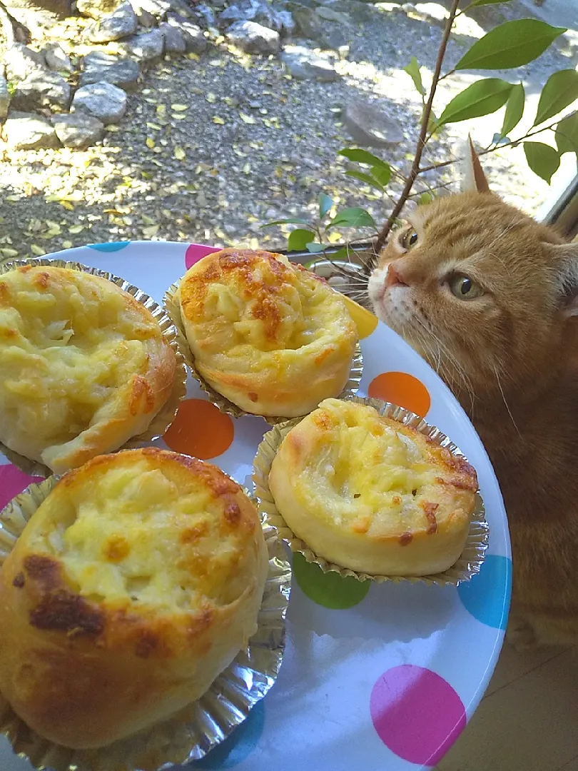 今朝のあさごパンは
新玉ねぎのオニオンブレット🥐甘い🎵|さくらんぼさん