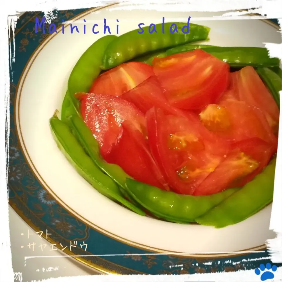まいにちサラダ|osanpowankoさん