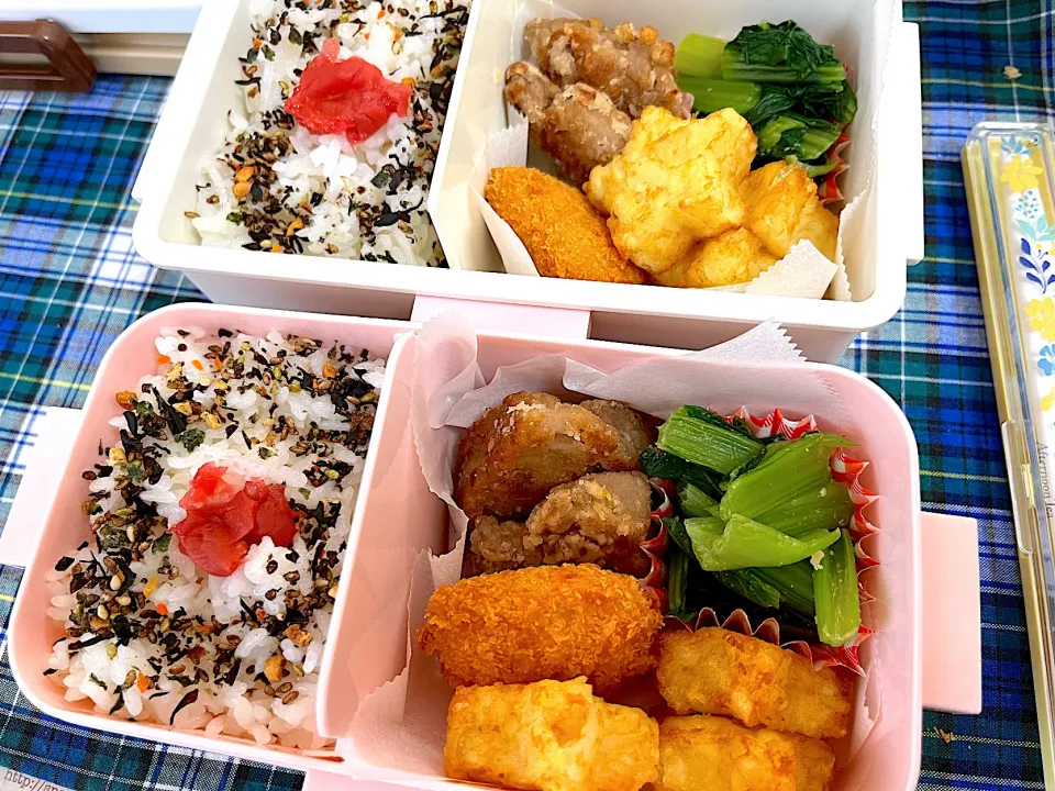 Snapdishの料理写真:5/12☆親子弁当🍱|えいぽんさん