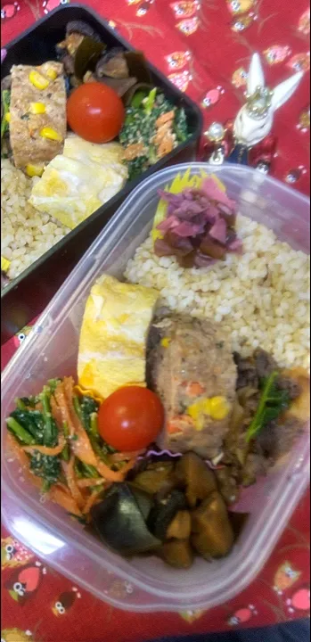 '23．5/12
本日のお弁当🍱|たえさん