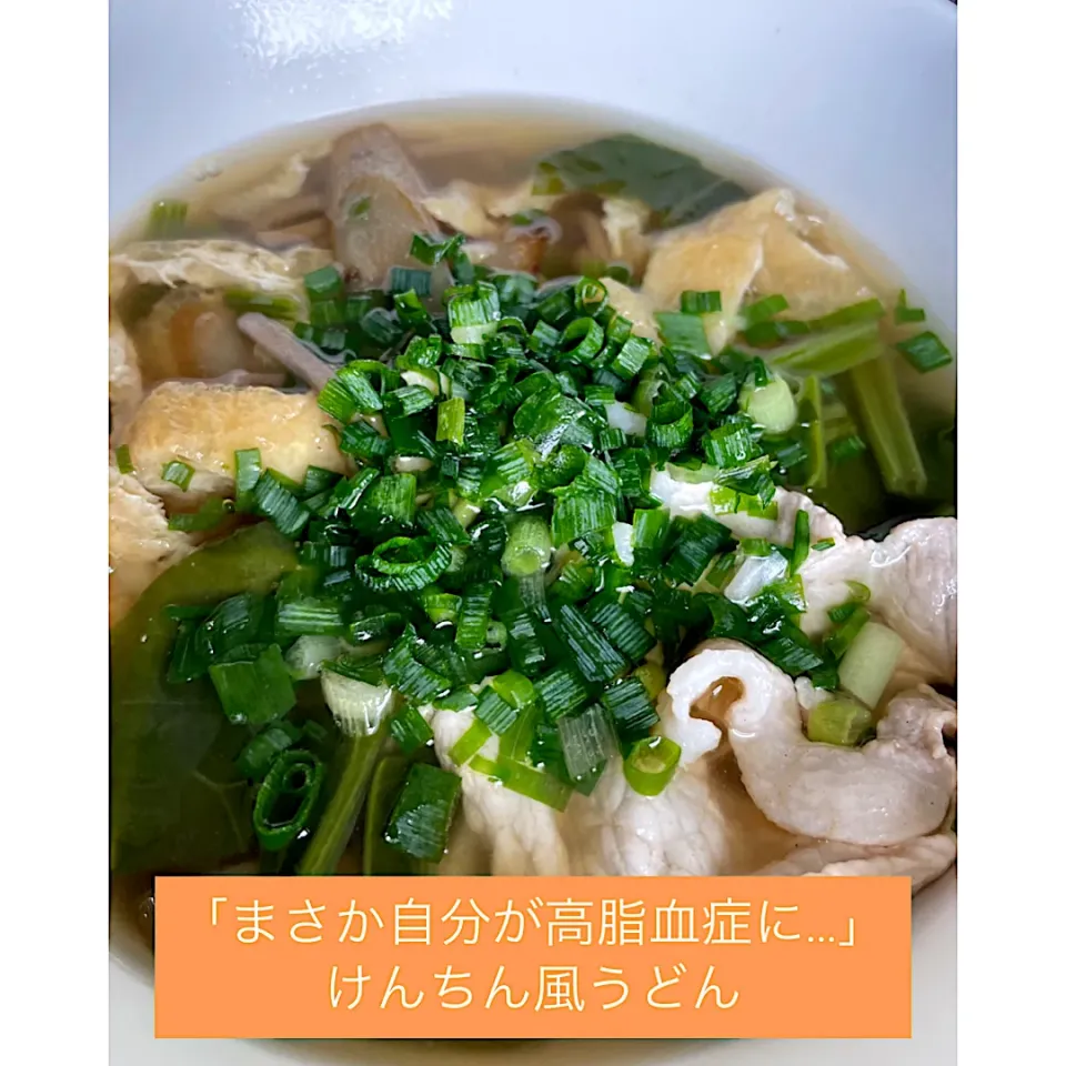 まさか自分が高脂血症に...けんちん風うどん|にゃふてんさん