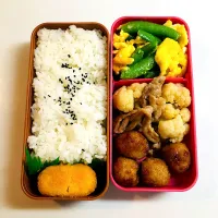 Snapdishの料理写真:お弁当🍱|sweetchocoさん