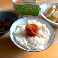 梅干しのせごはん