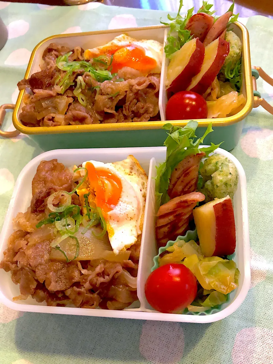 2023.5.16  ✩今日のお弁当✩牛丼ᕷ·͜· ︎︎|rinrin*mama*さん