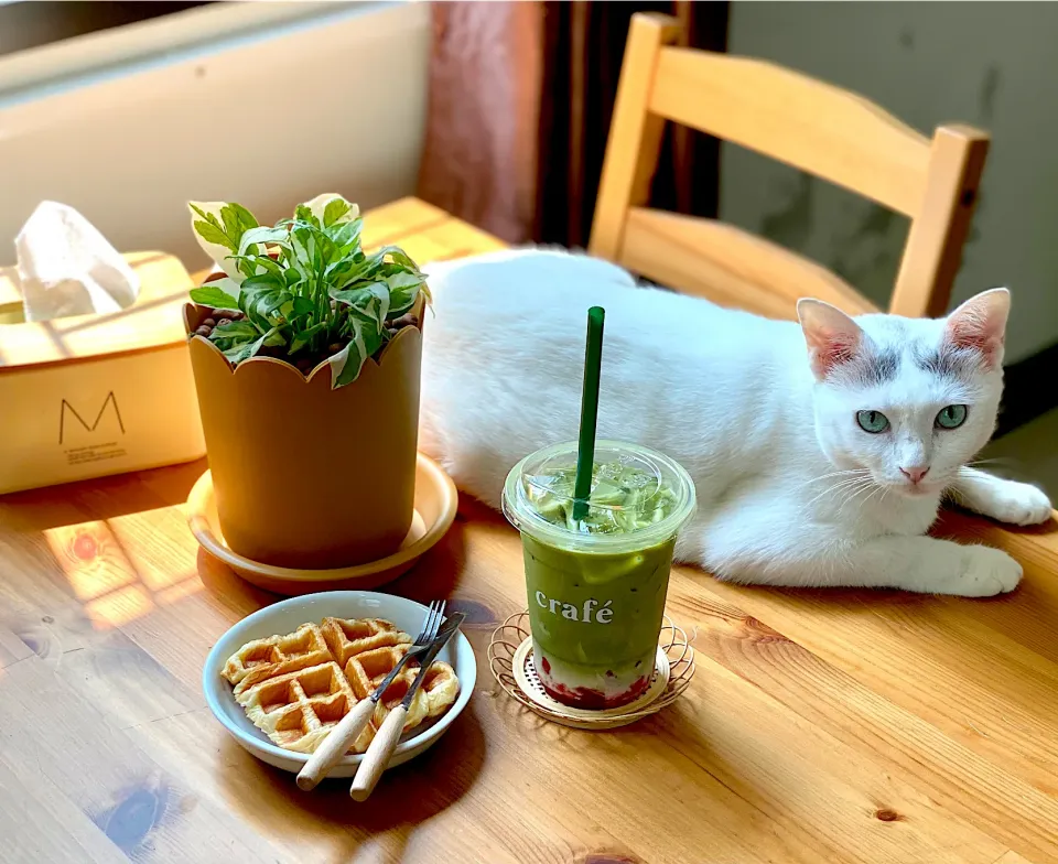 Strawberry Matcha Latte and Croffle|Lamonrockyさん