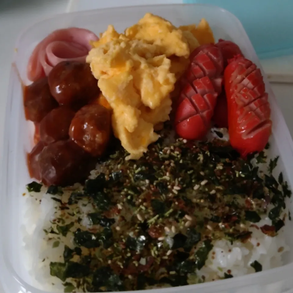 今日のお弁当|そごうりんさん