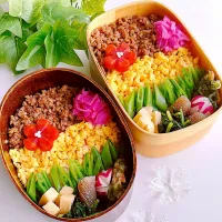 Snapdishの料理写真:‪🌱‬夫婦のそぼろ弁当‪🌱‬   おじいちゃん便の採れたて野菜で🥬💕