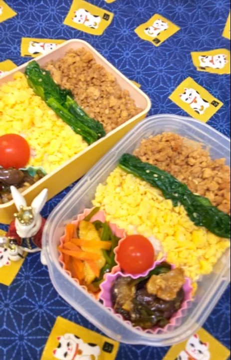 '23．5/20
本日のお弁当🍱|たえさん