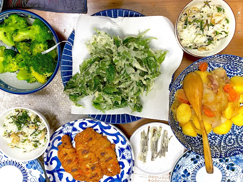 コシアブラご飯🌿、モミジガサとコシアブラの天ぷら、焼きはんぺん、肉じゃが🥕|1614さん