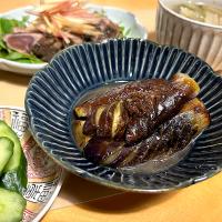 茄子の煮浸し