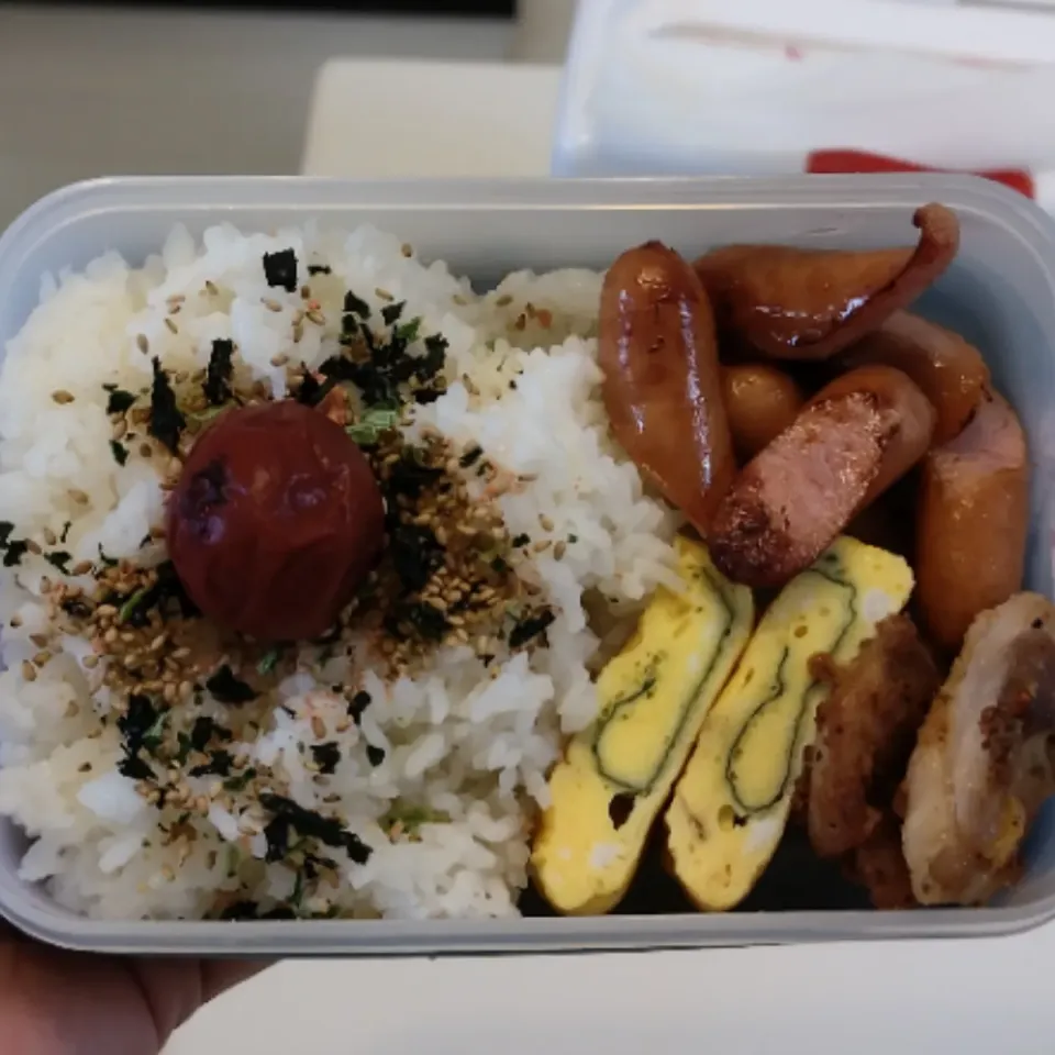 今日のお弁当|そごうりんさん