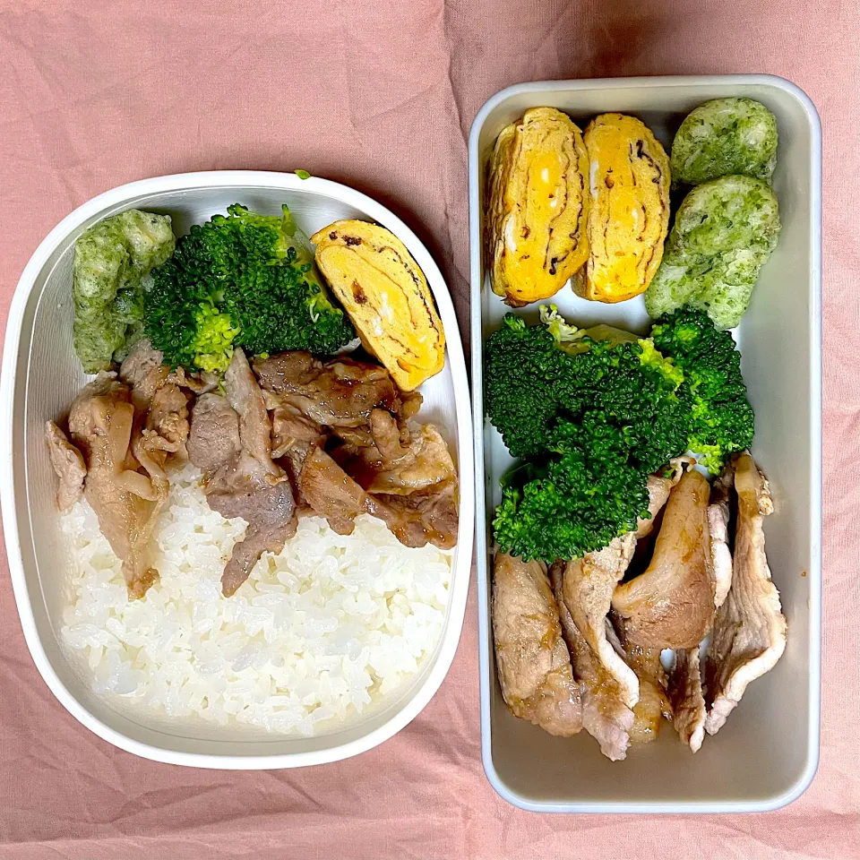 Snapdishの料理写真:5月22日お弁当|しのんさん