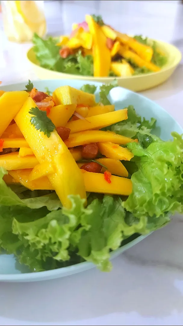 mango salad|med09さん