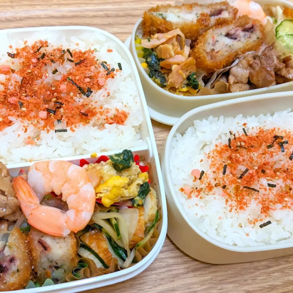 お昼ごはん☆お弁当🍱🍴|ゆんさん