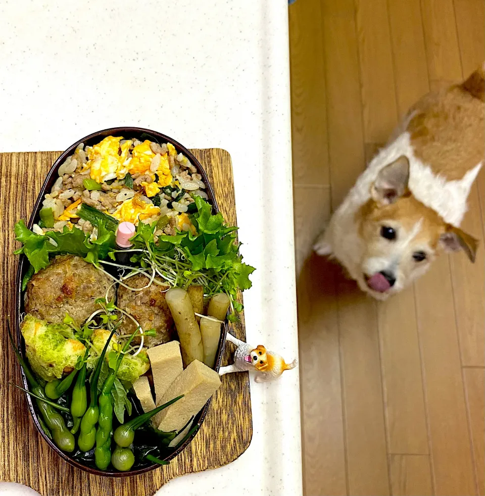 マッシュルームの肉詰め弁当🍄|cafe3733さん