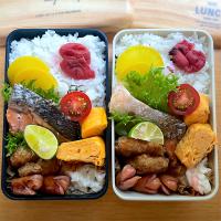 鮭弁当