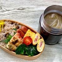 今日のお弁当 23/05/24