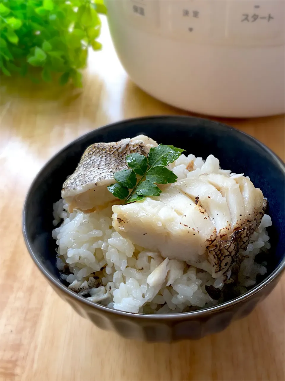 釣り魚🎣シロカでクエの炊き込みご飯|9421beruさん