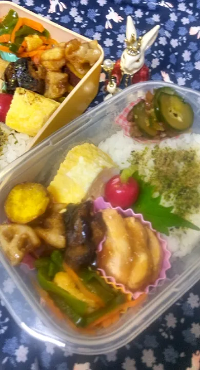 '23．5/24
本日のお弁当🍱|たえさん