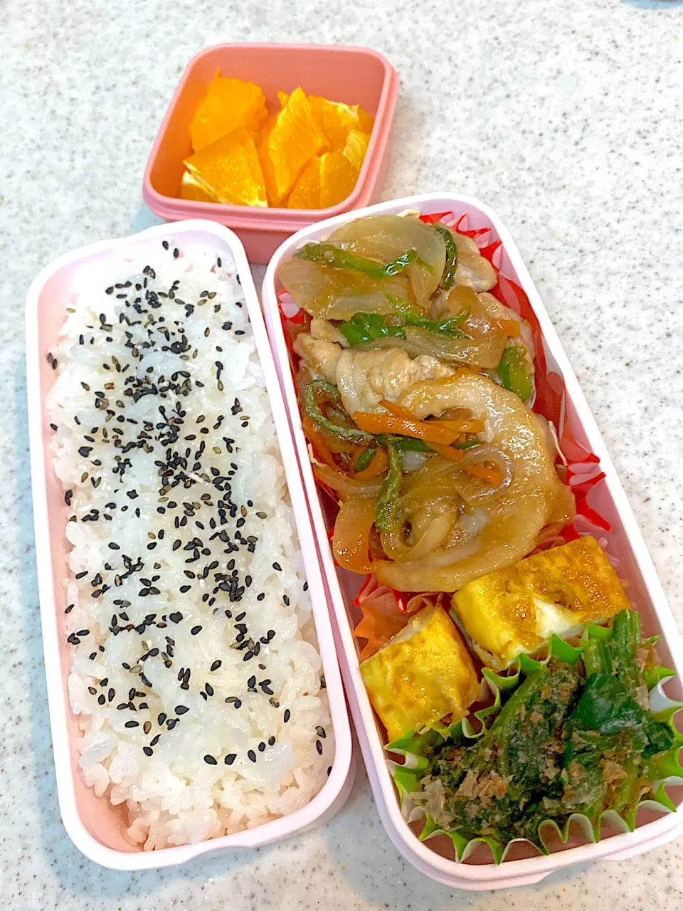 今日のお弁当|asumamaさん